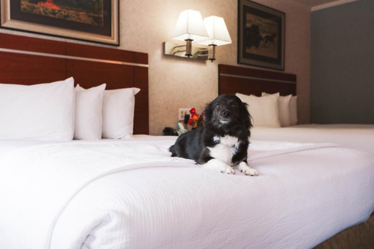 Brandin' Iron Inn West Yellowstone Ngoại thất bức ảnh