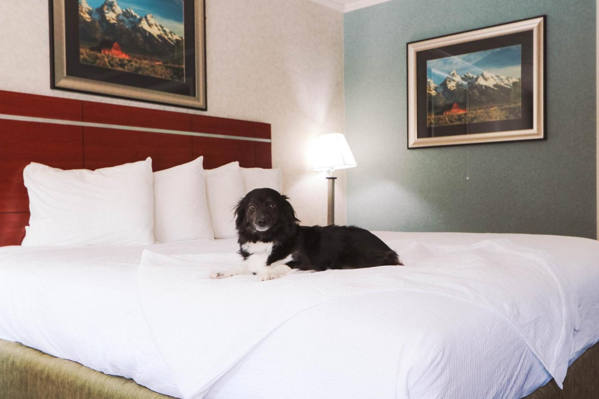 Brandin' Iron Inn West Yellowstone Ngoại thất bức ảnh